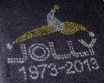 strass2_jolly_particolare
